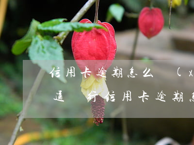 信用卡逾期怎么協(xié)商還款最快(交通銀行信用卡逾期怎么協(xié)商還款)