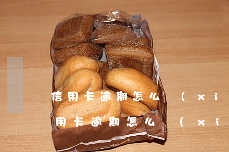 信用卡逾期怎么協(xié)商還款本金(信用卡逾期怎么協(xié)商還款本金)