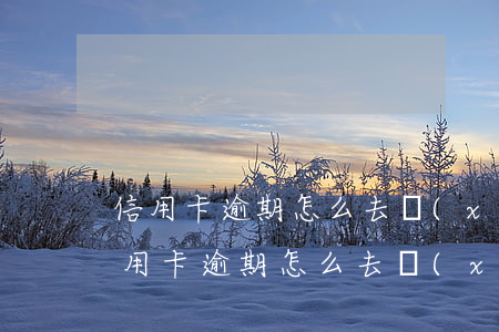 信用卡逾期怎么去協(xié)商還款-信用卡逾期怎么去協(xié)商還款呢