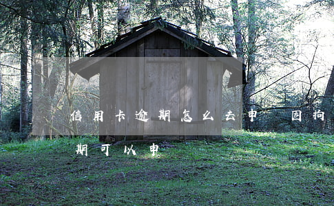 信用卡逾期怎么去申訴(因拘留導致信用卡逾期可以申訴嗎)