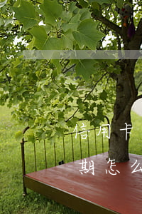 信用卡逾期怎么去規(guī)劃(信用卡逾期怎么去規(guī)劃局投訴)