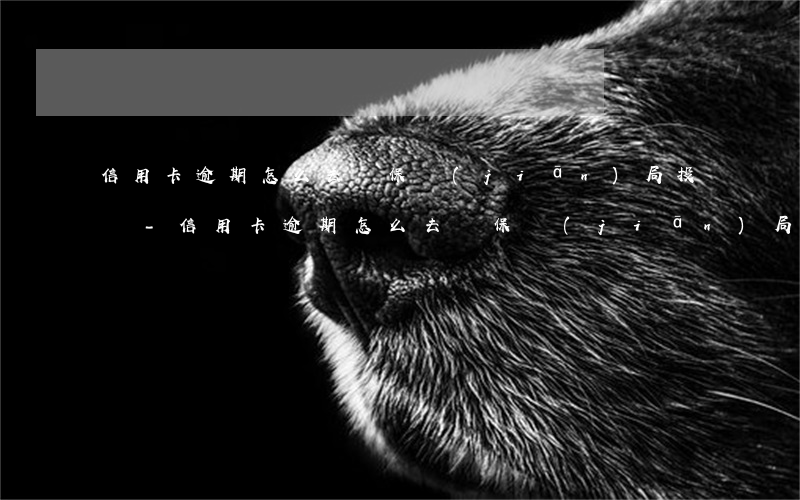 信用卡逾期怎么去銀保監(jiān)局投訴-信用卡逾期怎么去銀保監(jiān)局投訴電話