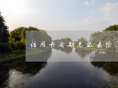 信用卡逾期怎么去除污點