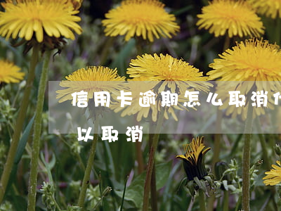 信用卡逾期怎么取消代扣(信用卡逾期代扣可以取消嗎)