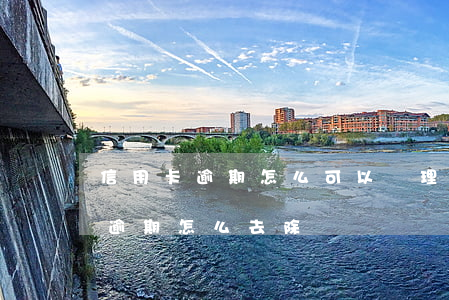 信用卡逾期怎么可以處理征信(征信的信用卡逾期怎么去除)