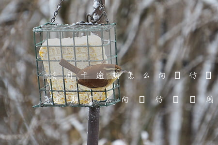信用卡逾期怎么向銀行寫貧困證明-信用卡逾期怎么向銀行寫貧困證明材料