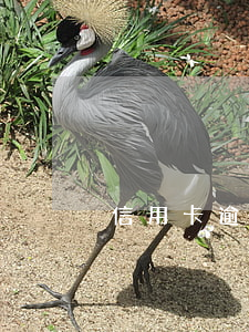 信用卡逾期怎么告知銀行 怎么叫信用卡逾期