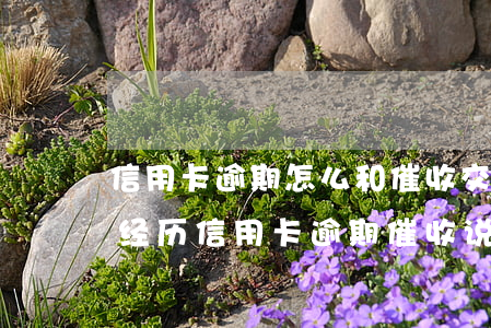 信用卡逾期怎么和催收交流 做了三年催收的经历信用卡逾期催收说要上门