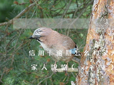 信用卡逾期怎么和家人說(信用卡逾期怎么和家人說協(xié)商還款)