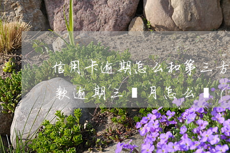 信用卡逾期怎么和第三方協(xié)商還款 逾期三個月怎么協(xié)商還款