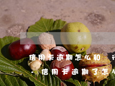 信用卡逾期怎么和銀行協(xié)商處理-“信用卡逾期了怎么跟銀行協(xié)商解決”