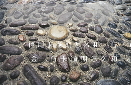信用卡逾期怎么和銀行協(xié)商違約金(銀行卡逾期怎么和銀行協(xié)商)