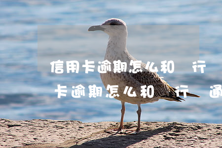 信用卡逾期怎么和銀行溝通停息掛賬-信用卡逾期怎么和銀行溝通停息掛賬呢