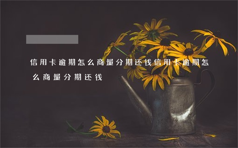 信用卡逾期怎么商量分期还钱(信用卡逾期怎么商量分期还钱)