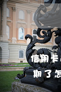 信用卡逾期怎么回復(fù)征信(信用卡逾期了怎么辦怎么修復(fù)征信)