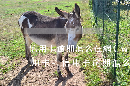 信用卡逾期怎么在網(wǎng)上起訴信用卡-信用卡逾期怎么在網(wǎng)上起訴信用卡還款