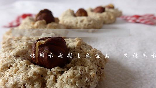 信用卡逾期怎么坐高鐵 欠信用卡錢還能坐高鐵嗎