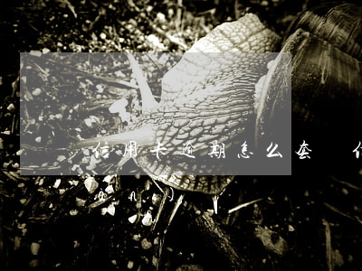信用卡逾期怎么套錢(信用卡 惡意套現(xiàn))