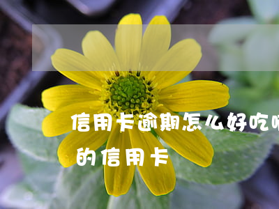 信用卡逾期怎么好吃啊征信(征信逾期最好辦的信用卡)