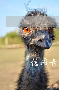 信用卡逾期怎么委托協(xié)商