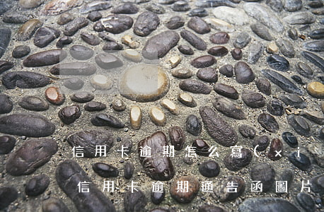 信用卡逾期怎么寫(xiě)信函-真正的信用卡逾期通告函圖片