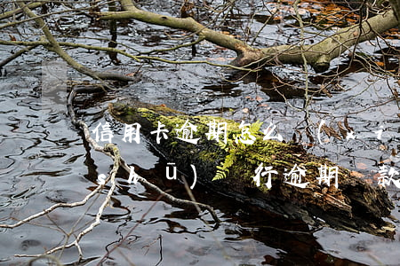 信用卡逾期怎么寫(xiě)還款承諾書(shū)(銀行逾期還款承諾書(shū))