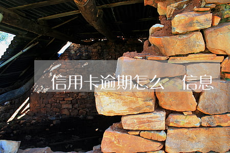 信用卡逾期怎么寫信息說明(逾期的信息怎么寫)