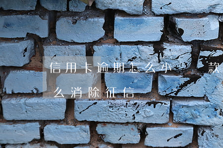 信用卡逾期怎么小額貸款(小額信用卡逾期怎么消除征信)