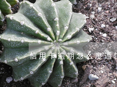 信用卡逾期怎么度過（信用卡逾期怎么度過）