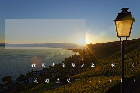 信用卡逾期怎么強制執(zhí)行(信用卡逾期法院執(zhí)行了怎么辦?)