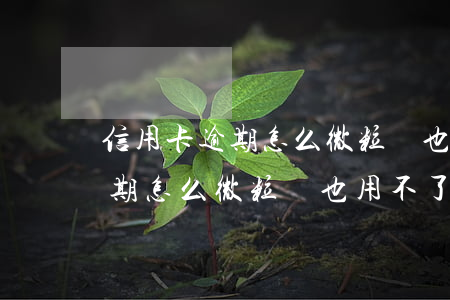 信用卡逾期怎么微粒貸也用不了-信用卡逾期怎么微粒貸也用不了呢