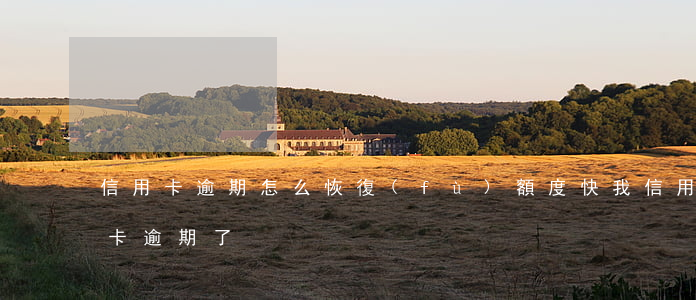 信用卡逾期怎么恢復(fù)額度快(我信用卡逾期了)