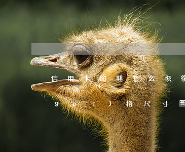 信用卡逾期怎么恢復信譽度 南京炫赫門規(guī)格尺寸圖片
