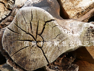 信用卡逾期怎么情況下能還本金