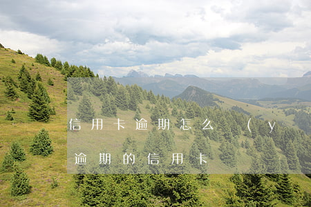 信用卡逾期怎么應(yīng)付(如何處理逾期的信用卡)