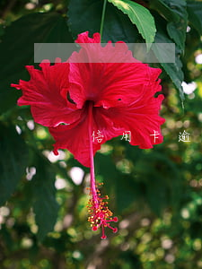 信用卡逾期怎么才不長(zhǎng)利息