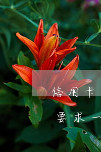 信用卡逾期怎么才能一次性還清-欠信用卡要求一次性還清怎么辦