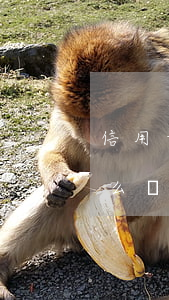 信用卡逾期怎么才能不上征信(征信有逾期怎么辦信用卡)