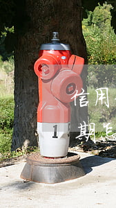 信用卡逾期怎么才能不被上征信-信用卡逾期怎么才能不被上征信呢