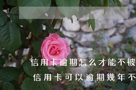 信用卡逾期怎么才能不被起訴-為什么有人信用卡可以逾期幾年不被起訴