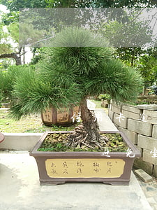 信用卡逾期怎么才能不被起訴呢(欠信用卡怎樣避免坐牢)