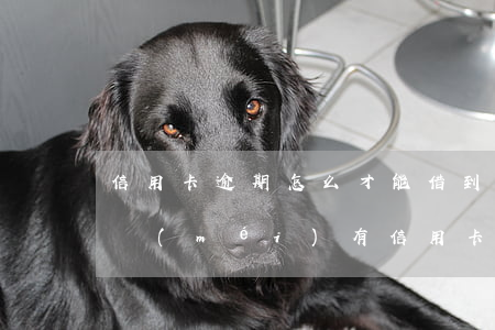 信用卡逾期怎么才能借到錢(qián)(有沒(méi)有信用卡有逾期的還可以借到錢(qián)的軟件)
