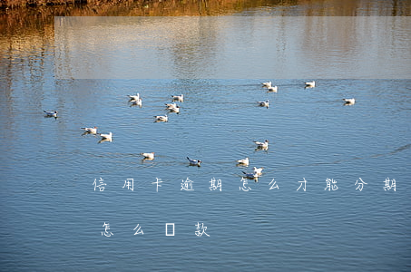信用卡逾期怎么才能分期償還本金 分期逾期怎么還款