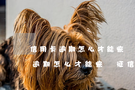信用卡逾期怎么才能恢復征信報告-信用卡逾期怎么才能恢復征信報告呢