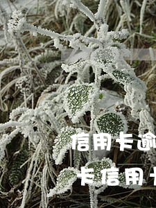 信用卡逾期怎么才能申請(qǐng)信用卡(信用卡逾期怎么才能申請(qǐng)信用卡貸款)