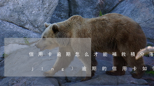 信用卡逾期怎么才能補救積分落戶-已經(jīng)逾期的信用卡如何辦理分期