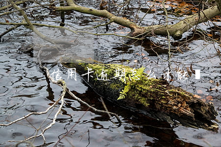 信用卡逾期怎么才能辦