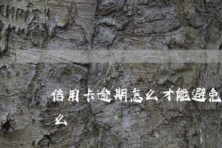 信用卡逾期怎么才能避免起訴 信用卡逾期怎么辦
