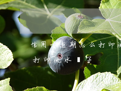 信用卡逾期怎么打印流水單(信用卡逾期怎么打印流水單子)
