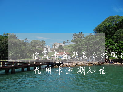 信用卡逾期怎么找回征信(如何恢復(fù)信用卡逾期征信)